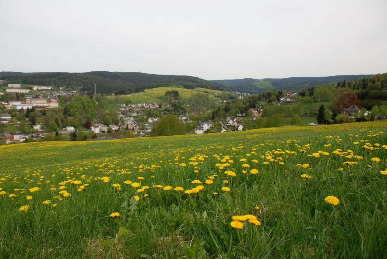 Ferienwohnung Koernerberg Klingenthal Exterior foto